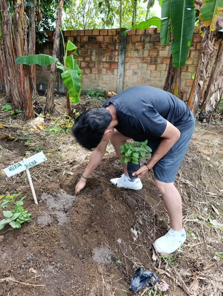 Joven estudiante del centro musical la dorada plantando una planta medicinal 