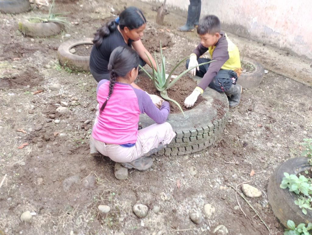 Niños y niñas del centro musical El Empalme transplantando una planta en una llanta