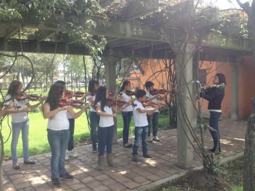 Muestra musical Violín, COPA